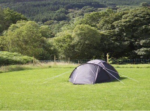 Vorteile von Campingvermietungen
